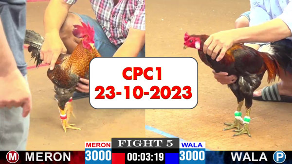 20-10-2023-cpc4