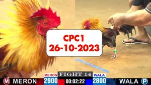 26-10-2023-cpc1