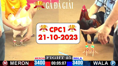 giai-ga-tu-tu-do-21-10-2023-cpc1