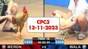 13-11-2023-cpc3