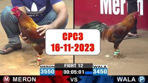 16-11-2023-cpc3