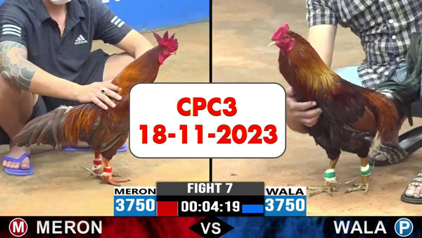 18-11-2023-cpc3