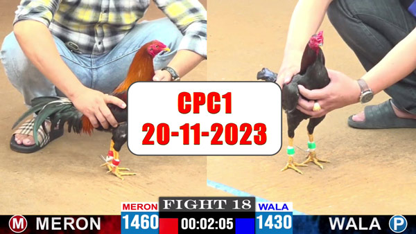 20-11-2023-cpc1