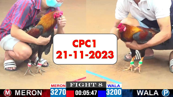 22-11-2023-cpc1