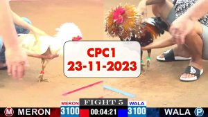 23-11-2023-cpc1