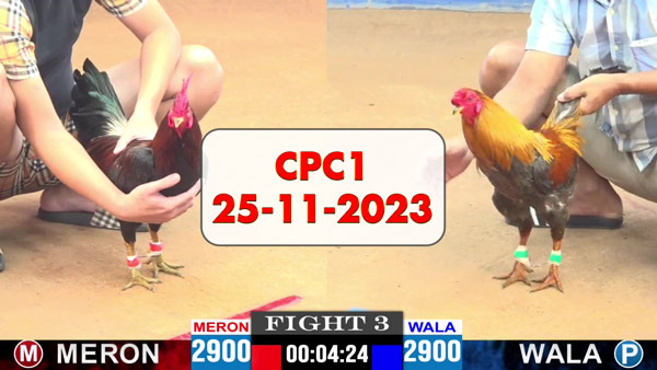 25-11-2023-cpc1