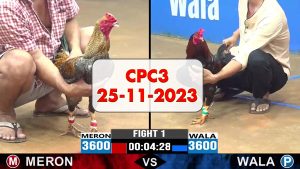 25-11-2023-cpc3