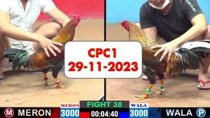 29-11-2023-cpc2