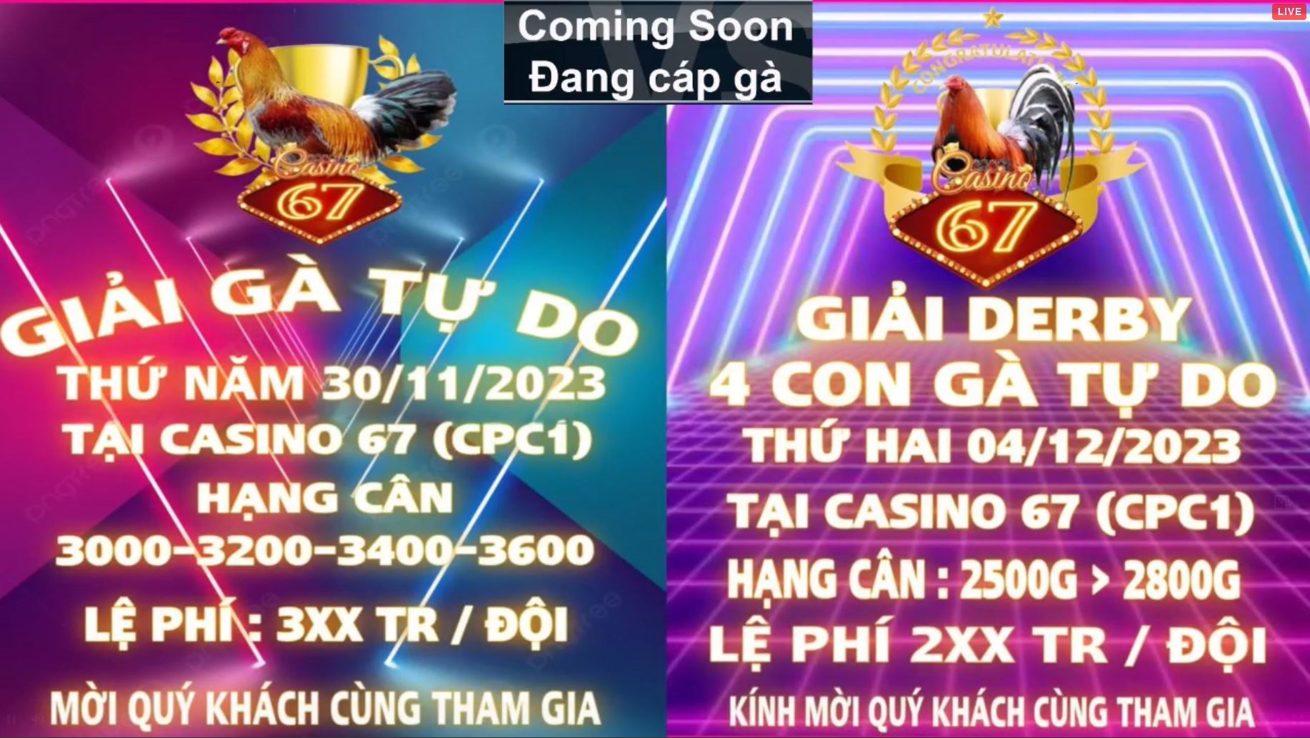 giải gà tự do 30-11& 04-12